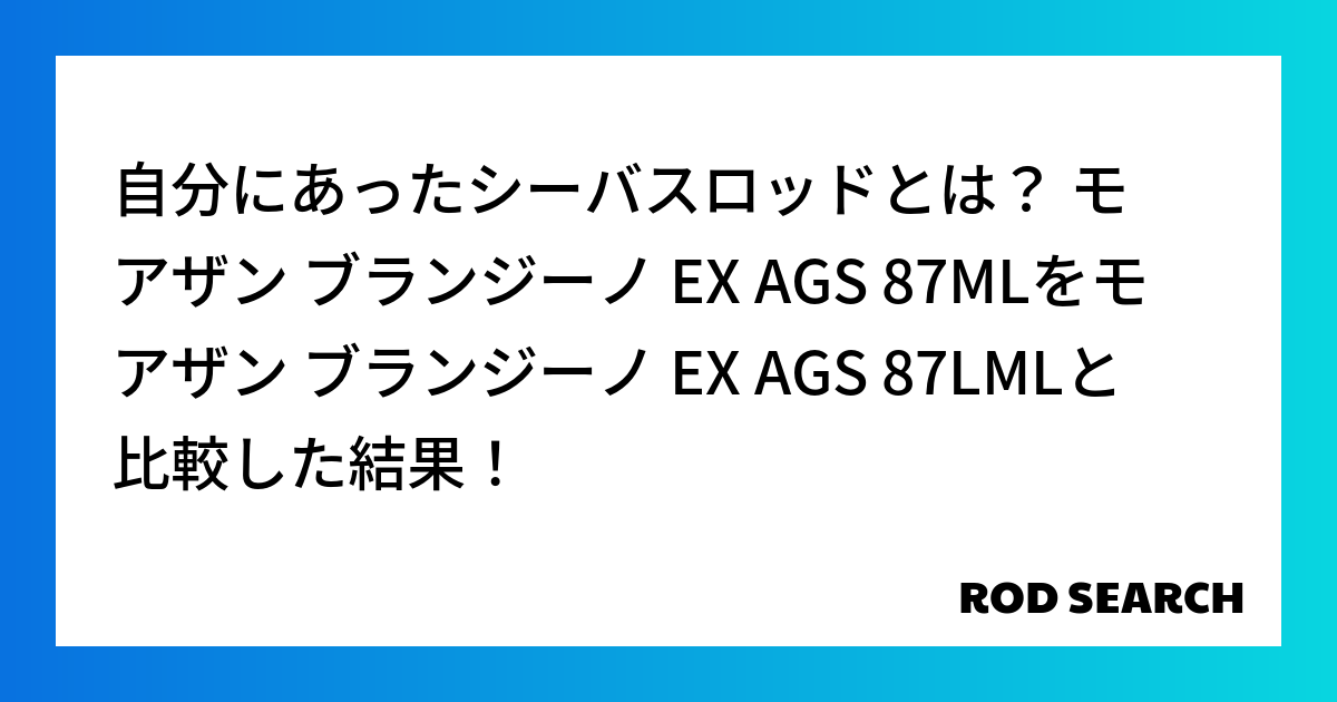 自分にあったシーバスロッドとは？ モアザン ブランジーノ EX AGS 87MLをモアザン ブラ...