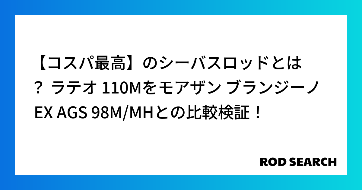 【コスパ最高】のシーバスロッドとは? ラテオ 110Mをモアザン ブランジーノ EX AGS 9...